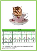 Calendrier d'avril 2024 chats