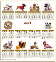 Calendrier 2027 annuel spécial 'chiens' avec 10 photos
