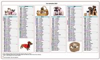 Calendrier 2013 semestriel chiens